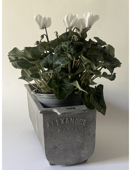 Jardinière en fonte d'aluminium -  Alexandre