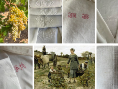 Moi, la nappe de vendange